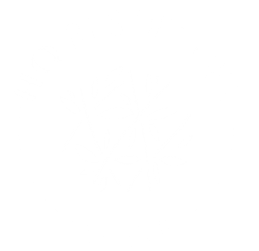 Hq Residences Miami