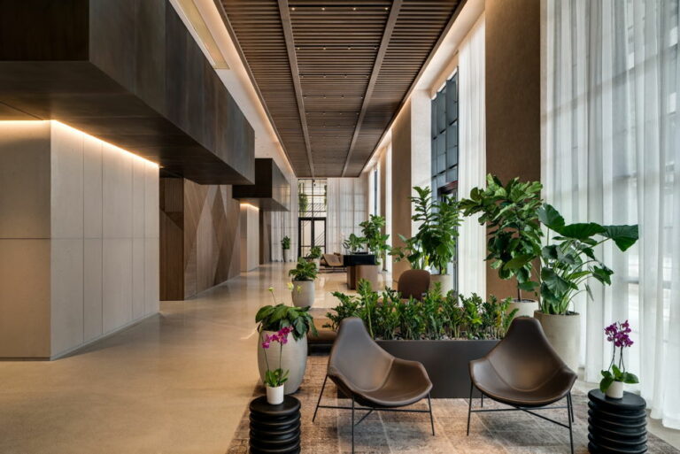 Gallery 6